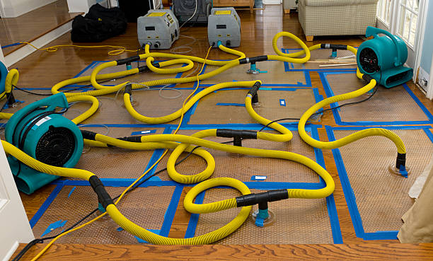 Professional Water Extraction technician working in Weston, NJ
